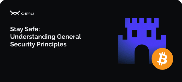 Stay Safe: Understanding General Security Principles.